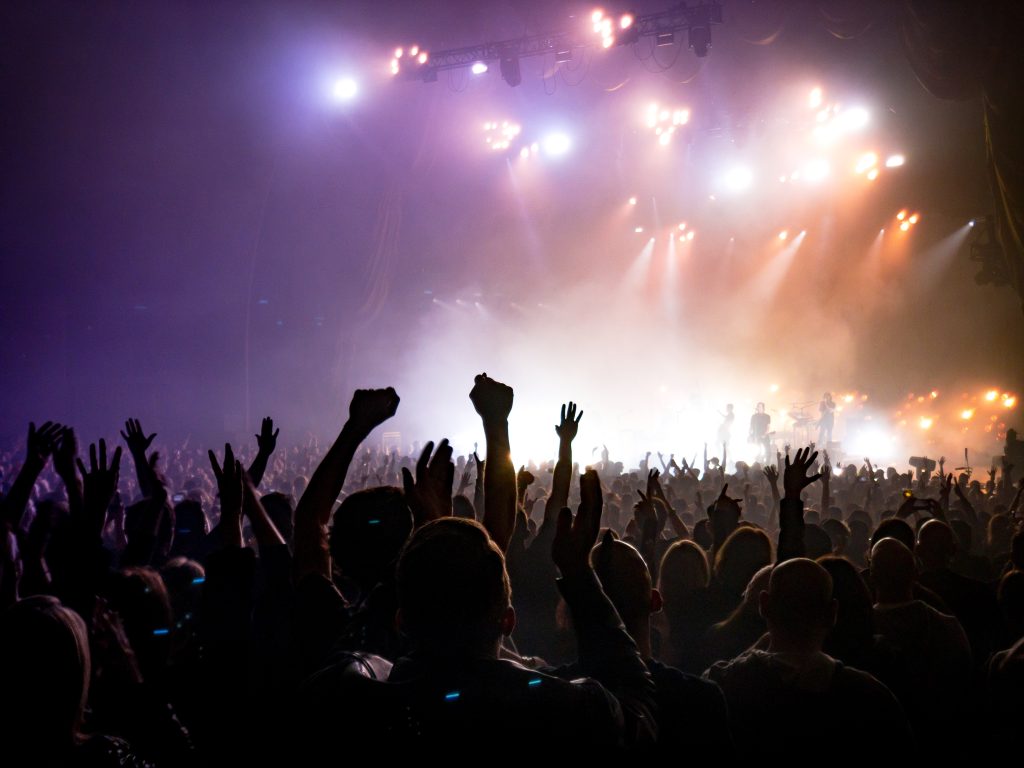 CONCERT CROWD-actionvance-