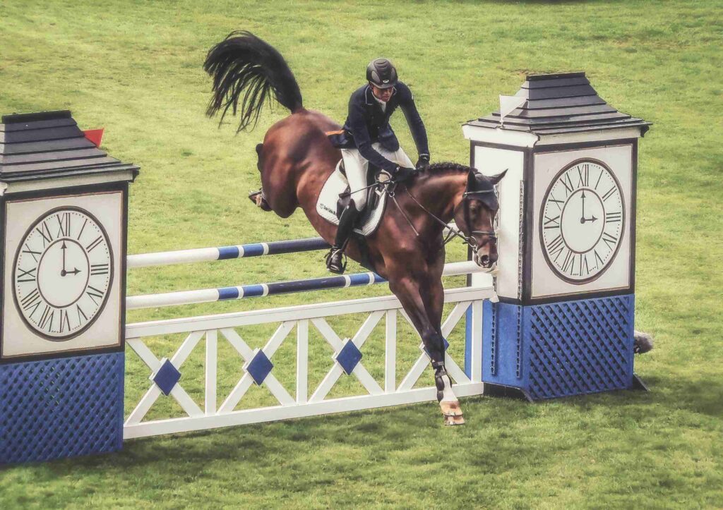EQUESTRIAN