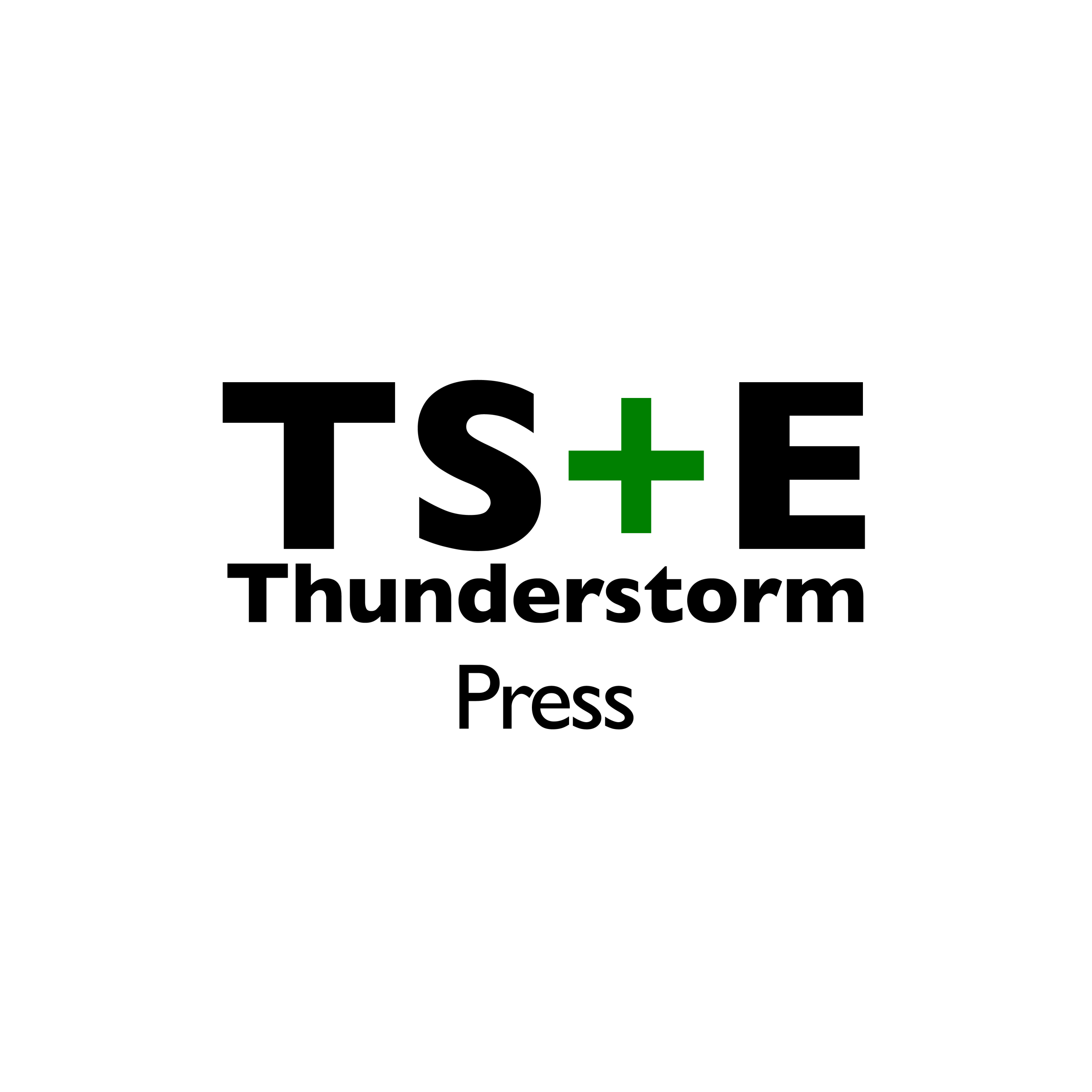 TS+E PRESS logo