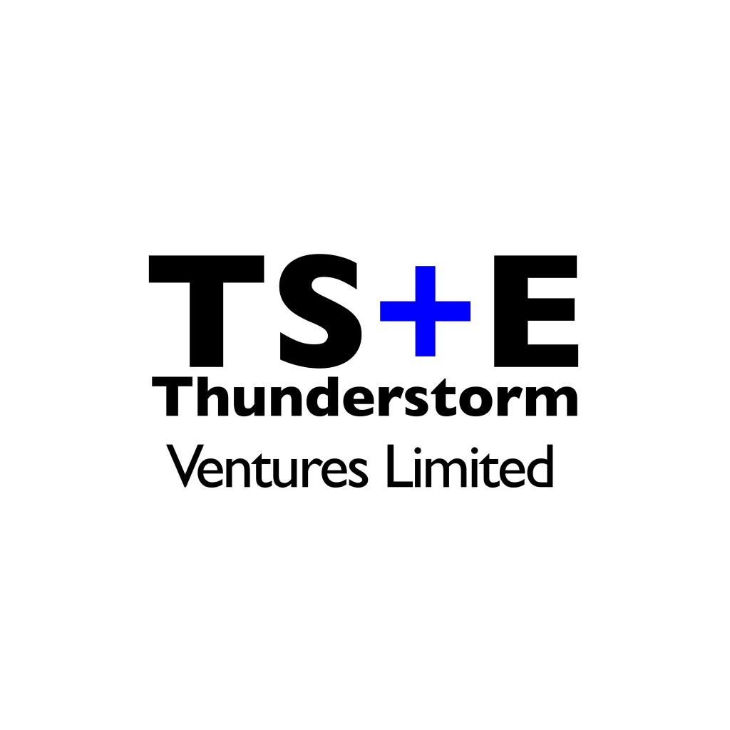 TS+E VENTURES Logo