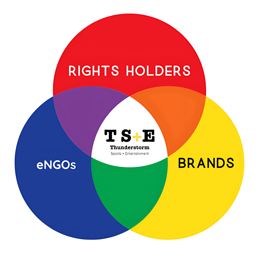 Venns Diagram of Rights holder, Brands and eNGOs